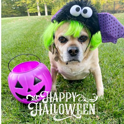Happy Halloween