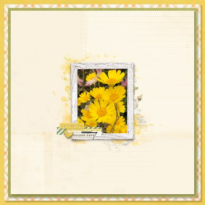 Sundancer Daisy