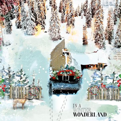 WINTER WONDERLAND
