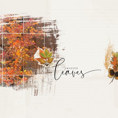 Amazing Leaves