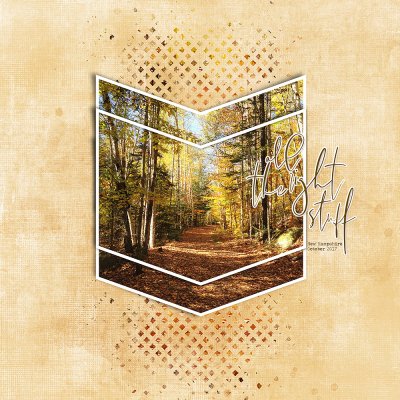 SSL 11/13/21