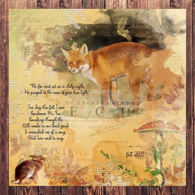 Mr. Fox