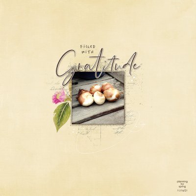 Gratitude 2021 - Day 16