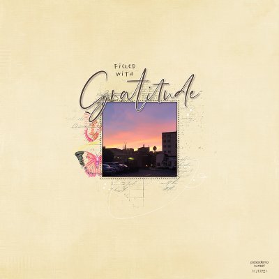 Gratitude 2021 - Day 17