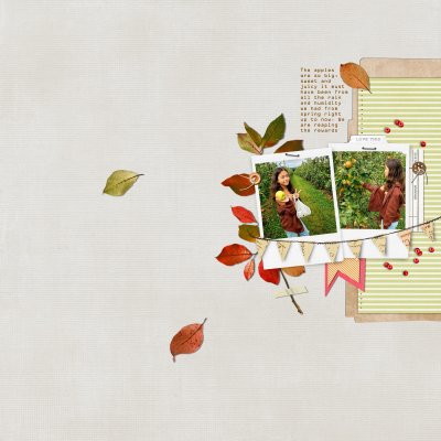 Reaping the Rewards 2021 Apple Picking.jpg