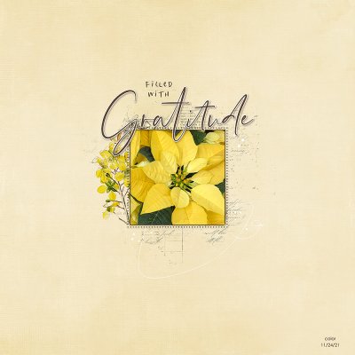 Gratitude 2021 - Day 24