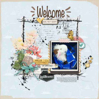Welcome - our mascot!.jpg