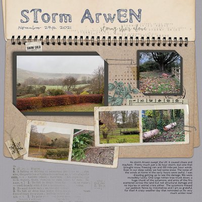 Storm Arwen