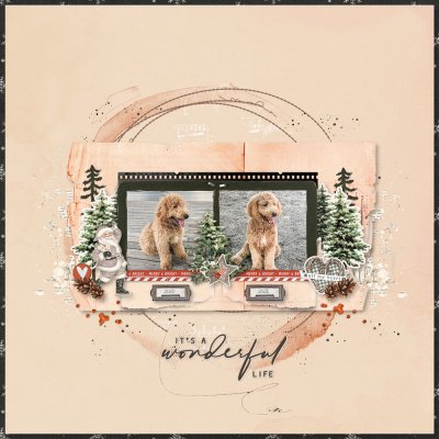 2021-11-29-It'sAWonderfulLife.jpg