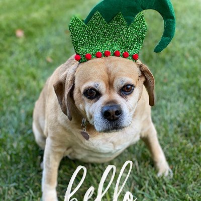 Hello December!