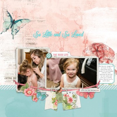 So Little and So Loved.jpeg