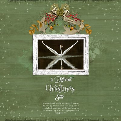 Hanging Around_A Different Christmas Star_web.jpg