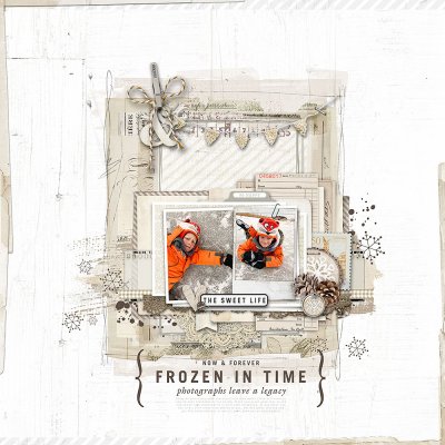 Frozen In Time