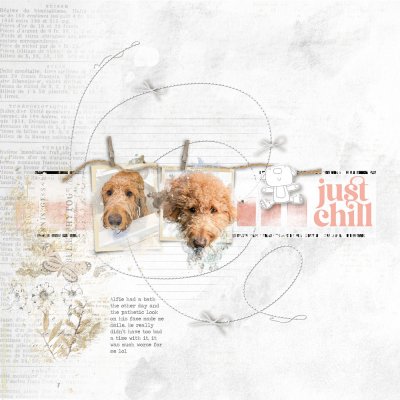 2022-1-10-JustChill.jpg