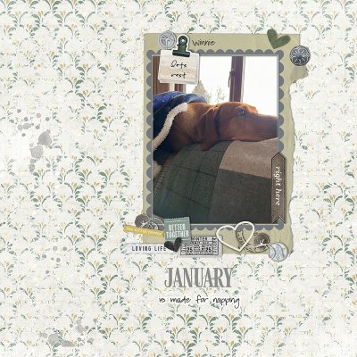 January is for napping