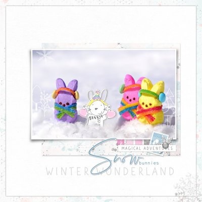 snow bunnies