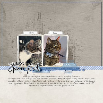 January Scraplift Chain - You're purrfect