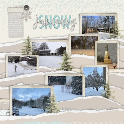 January Snow