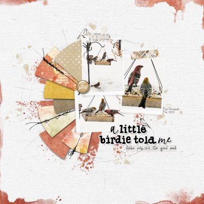 A little birdie