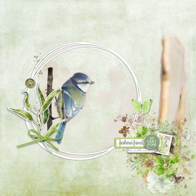 Feathered Friend