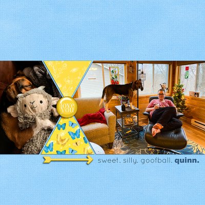 sweet. silly. goofball. quinn.