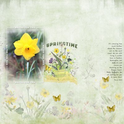 A Sign of Spring