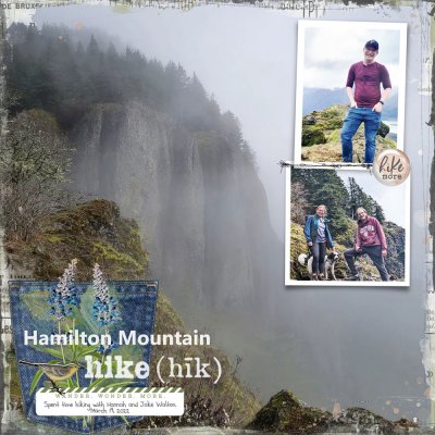 iTunes Challenge-Hamilton Mt.