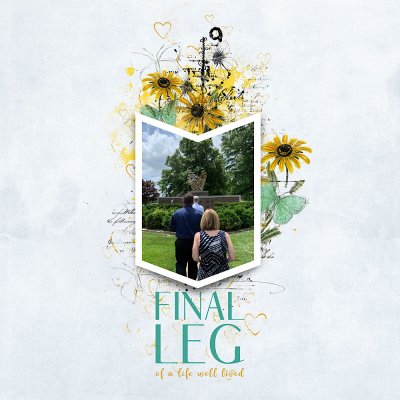 Final Leg