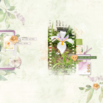 2022-4-5-Bloom.jpg