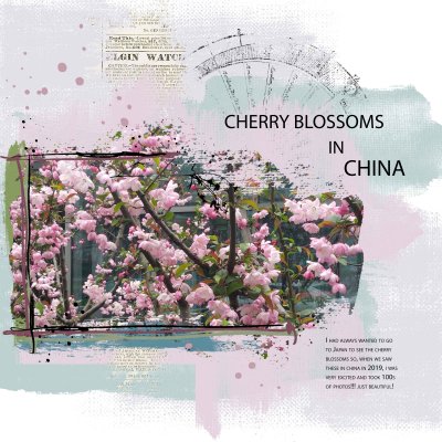 Cherry-Blossoms in China.jpg