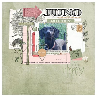 juno