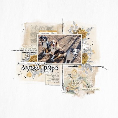 Thank You Sweet Pups-SSL 4/23