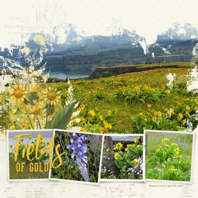 Rowena Crest Left Page