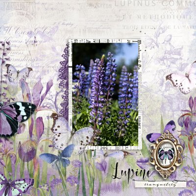 LUPINE