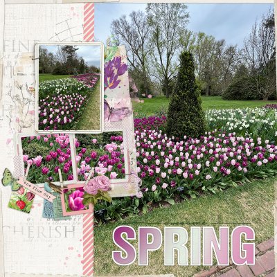 Spring Beauty Template Mashup - April 19