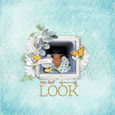 One Last Look