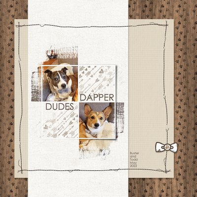 Scraplift Chain 05/22