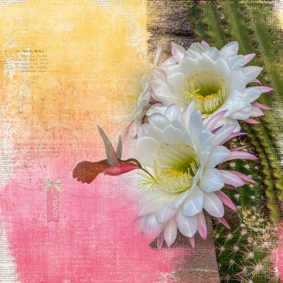 Second Bloom