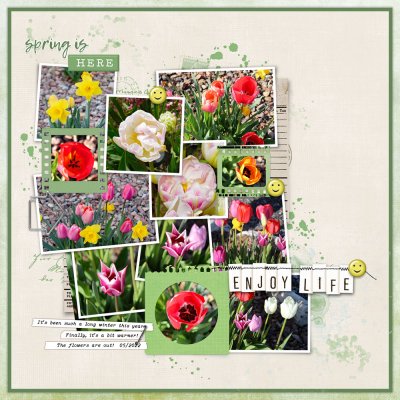 Springtime Walk