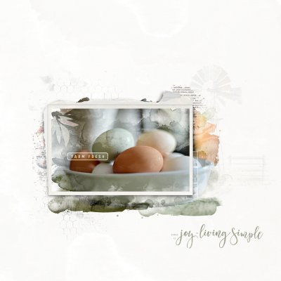 colored-eggs-1000.jpg