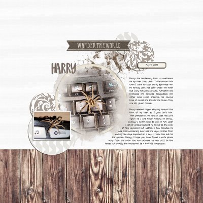 Harry the huntsman