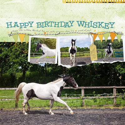 Happy Birthday Whiskey