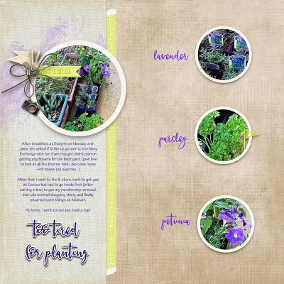2022-May-18-home-decor_too tired for planting