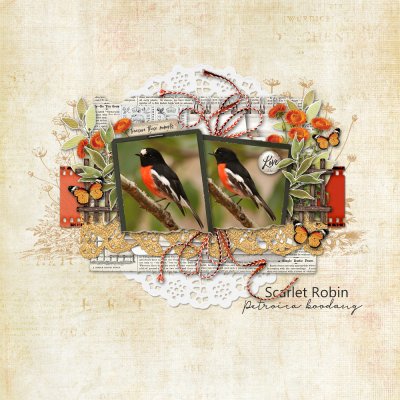 Scarlet Robin