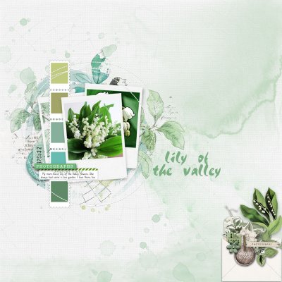 The Quiet Lily of the Valley