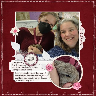 Baby Bunny In the Classroom