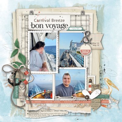 Bon Voyage