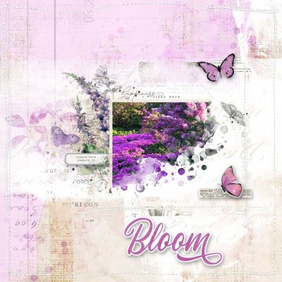 Bloom