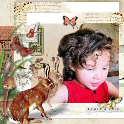 PEACE AND QUIET