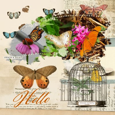 Botanica Butterfly Garden